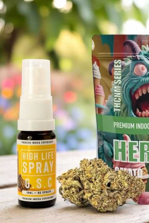 NYA HIGH LIFE BANNER MOBIL