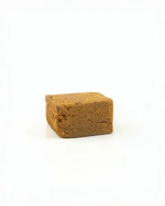 northern lights | hash