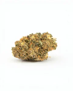 northern lights | hash