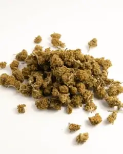 cannatonic cbd hampa blommor