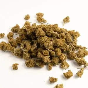 cannatonic cbd hampa blommor