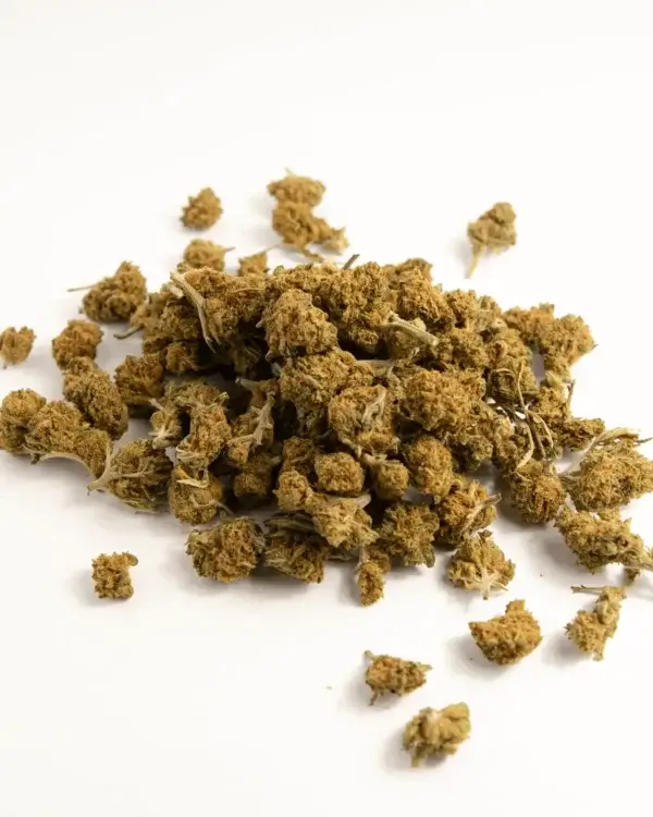 cannatonic cbd hampa blommor