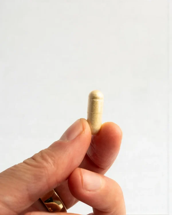 Alpha Brain - Kapsel med Bromantan, Lion's Mane & L-Theanine.