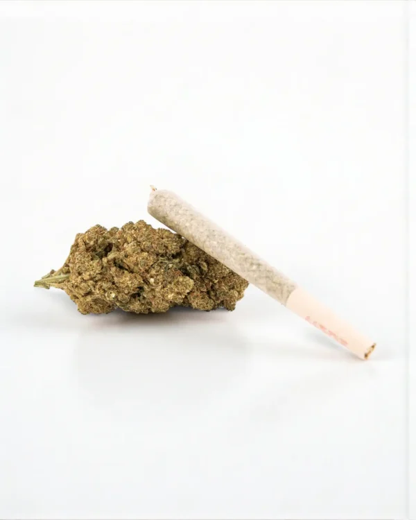 Black Widow Pre Rolles. 20% THCa + 10% THCNM