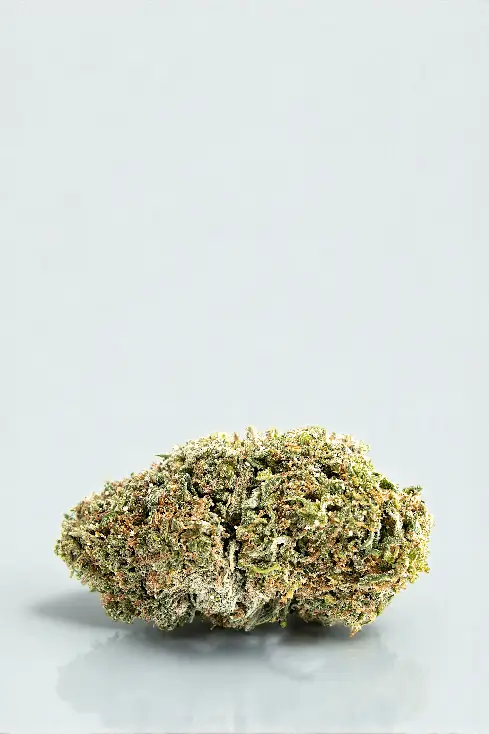 nya super skunk buds