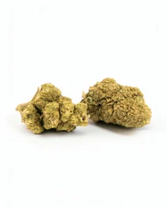 kompolti | cbd buds 15,5%